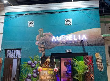 colombia/santa-marta/bar/aurelia-pub-hosting