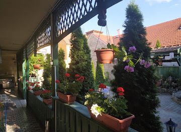 hungary/zemplen-mountains/bar/unicum-presszo