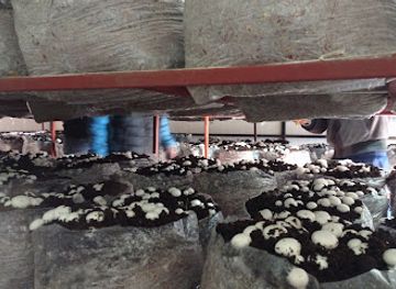 nepal/province-no-1/bar/suprimko-sekuwa-corner