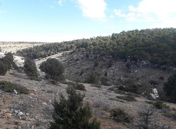 turkiye/konya/bar/xside-pub