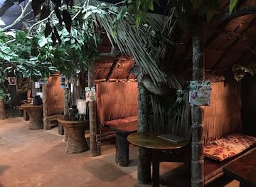 palau/ngemelis/bar/jungle-bar