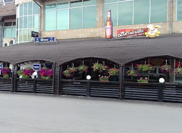 romania/targu-jiu/bar/terasa-luminita