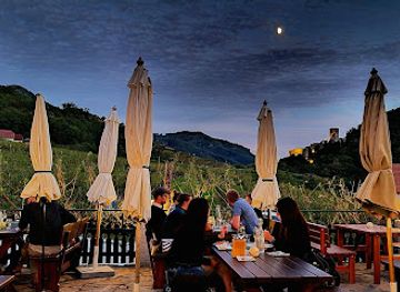 austria/wachau/bar/gruber-s-heuriger