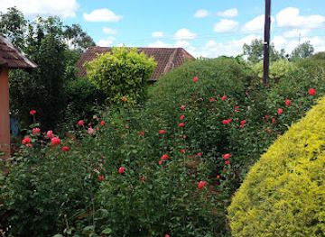 mozambique/manica-province/bar/vumba-lodge