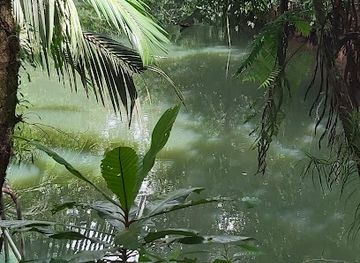 palau/ngchelobel/bar/jungle-river-boat-tours