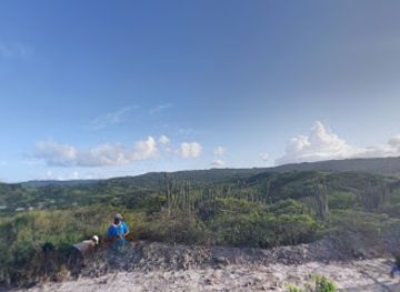 barbados/saint-andrew/bar/nigel-benn-aunty-bar