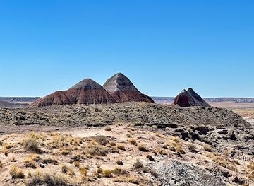 arizona/petrified-forest-national-park/bar/the-tepees