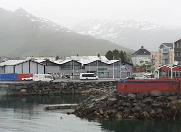 norway/svalbard/bar/scandic-vestfjord-lofoten