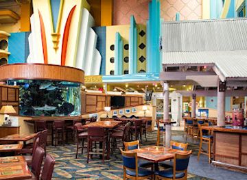 florida/cocoa-beach/bar/shark-pit-bar-grill