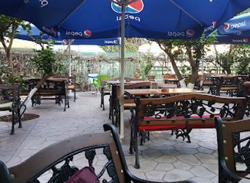 albania/fieri/bar/bar-palma