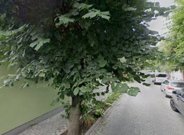 romania/mures/bar/bar