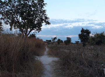 zambia/liuwa-plain/bar/ibolokwa-bar