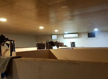 saudi-arabia/al-jawf/bar/