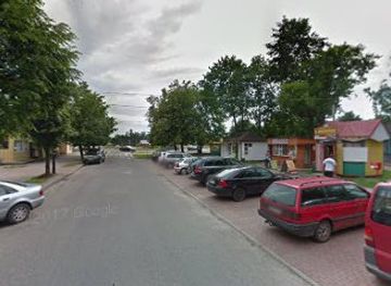 poland/białowieża-forest/bar/dzik-bozena-bar