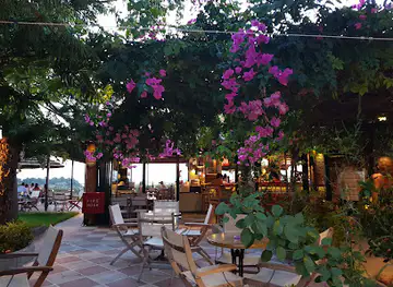 Trentis Bar