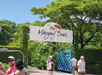 honduras/olancho-region/bar/roatan