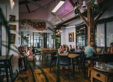 new-zealand/manawatu-wanganui/bar/mud-ducks