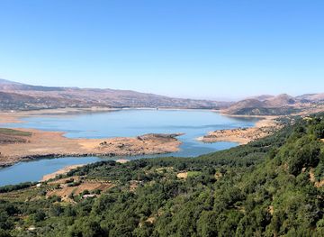 lebanon/nabatieh/bar/seven-seas-cuisine