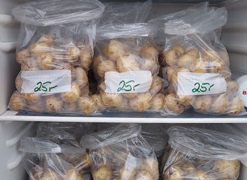 denmark/laso/bar/bergs-kartofler