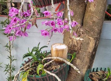 vietnam/phong-nha-ke-bang-national-park/bar/hieu-cafe