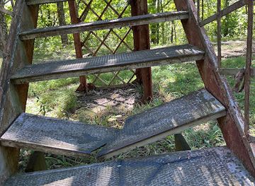 tennessee/fall-creek-falls-state-park/bar/historic-fall-creek-falls-fire-lookout-tower-ca-1895