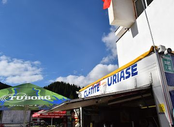 romania/bucegi-mountains/bar/clatite-uriase-padina