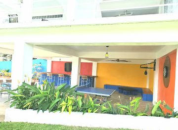 puerto-rico/vieques/bar/chicken-coop-vieques-puerto-rico