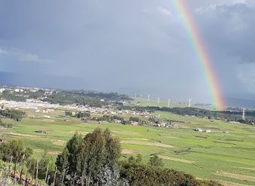 ethiopia/debre-libanos-monastery/bar/bultum-hill-side-coffee-house