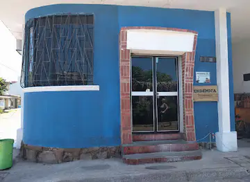 Endémica
