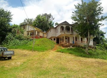 jamaica/dry-harbour-mountains/bar/mercury-bar-lawn