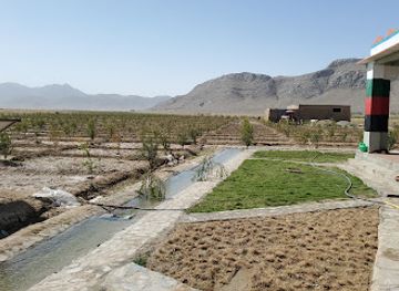 afghanistan/zabul/bar/haji-lali-sulimanzai