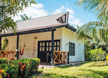 colombia/guajira-peninsula/bar/dreamer-palomino