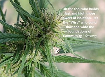 nebraska/chadron-state-park/bar/homer-s-eagles-roost