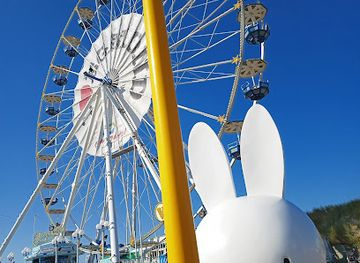 netherlands/egmond-aan-zee/bar/beach-pavillion-the-lookout