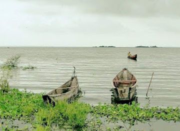 colombia/cesar-department/bar/estadero-la-roca