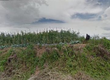 indonesia/west-sumatra/bar/syakira