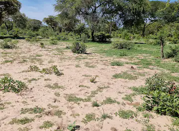 Luiana National Park