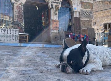 turkiye/cappadocia/uchisar/bar/sirli-antik-wine-house