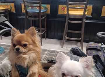 united-kingdom/ayrshire/bar/budd-s-bar