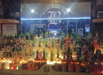 michigan/pere-marquette-state-forest/bar/blanchard-bar