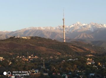 kazakhstan/almaty-mountains/bar/barfly