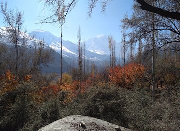 pakistan/fairy-meadows/bar/the-host-family-restaurant