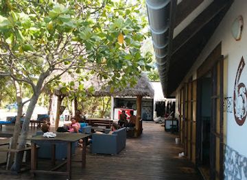 french-polynesia/rangiroa/bar/the-six-passengers