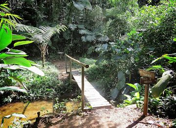brazil/atlantic-forest/bar/trilha-dos-tucanos