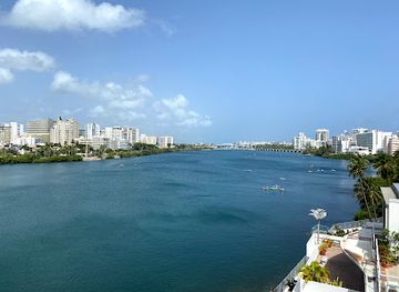 puerto-rico/caribbean-national-forest/bar/arya-rooftop