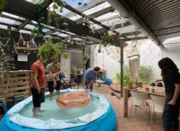 new-zealand/rotorua/bar/the-salty-shekel