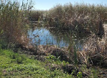 louisiana/sabine-national-wildlife-refuge/bar/sabine-national-wildlife-refuge-admin-building-and-visitor-contact-station