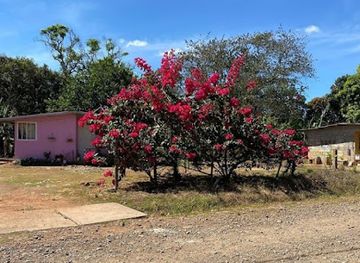 panama/pedasi/bar/las-gemelas