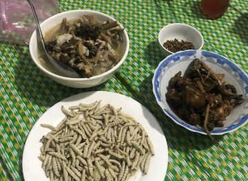 vietnam/tam-ky/bar/am-thuc-dan-da-son-cuoc