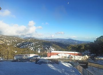 cyprus/troodos-national-forest-park/bar/1725-cafe-bar